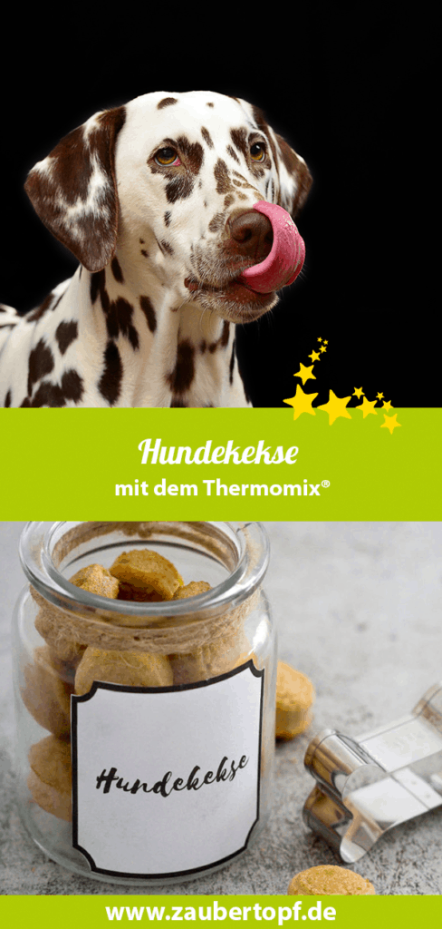 Hundekekse mit dem Thermomix® – Fotos: pixabay / Désirée Peikert