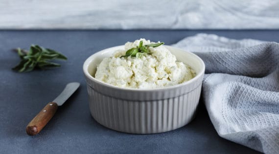 Feta-Dip mit dem Thermomix® – Foto: Anna Gieseler