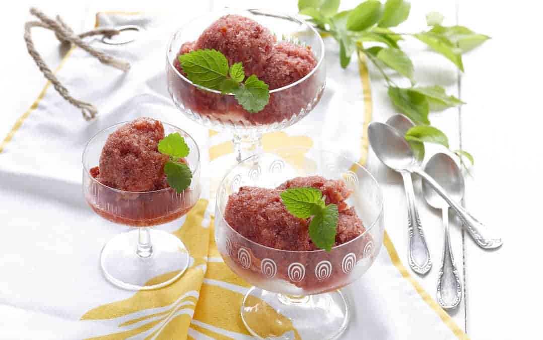 Fruchtiges Honig-Pflaumen-Sorbet aus dem Thermomix®