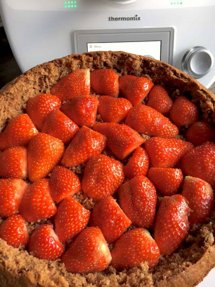 Maulwurfkuchen aus dem Thermomix® – Foto: Nicole Stroschein