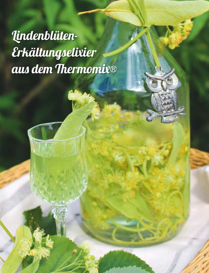 Kräutermedizin aus dem Thermomix® Lindenblüten-Erkältungselixier – Foto: Elisabeth Engler