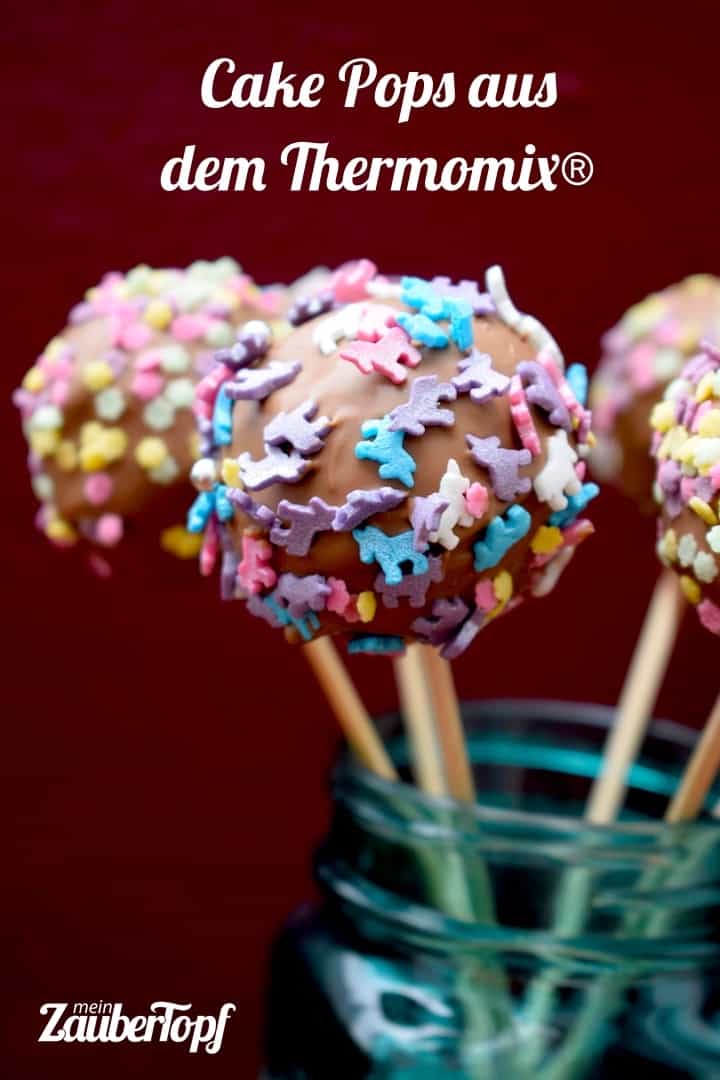 Cake Pops aus dem Thermomix® – Foto: Nicole Stroschein