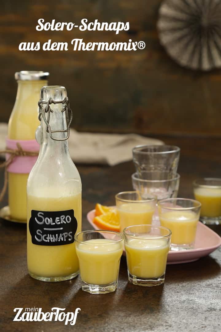 Solero-Schnaps aus dem Thermomix® - mein ZauberTopf