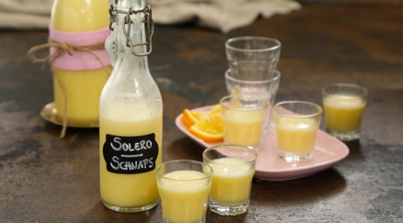 Solero-Schnaps aus dem Thermomix® – Foto: Anna Gieseler