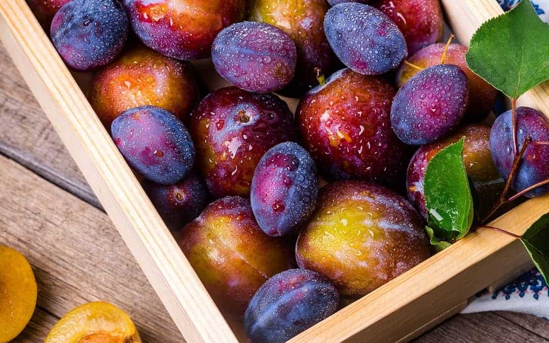Pflaumenmarmelade mit Kürbis - ZauberTopf