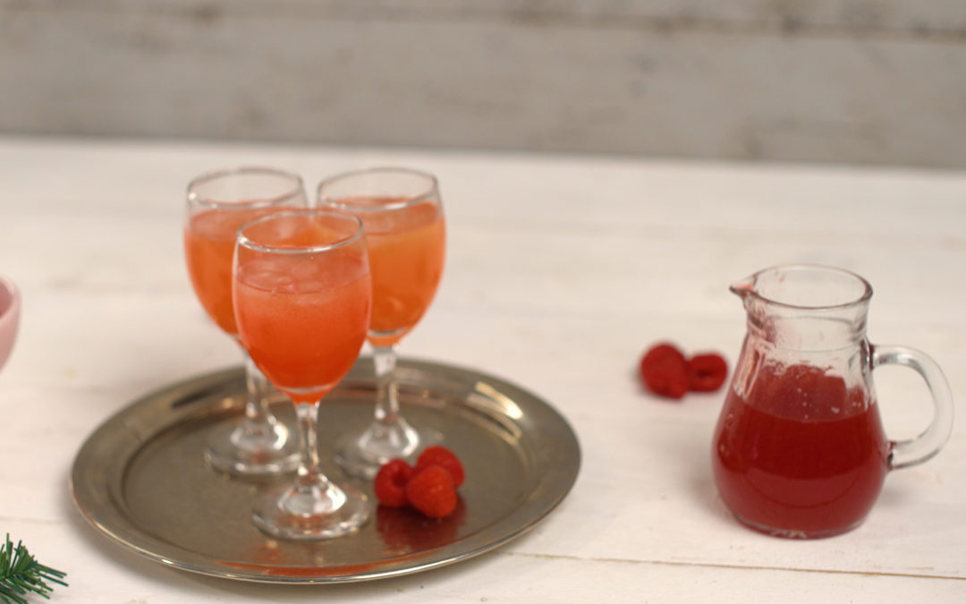 Himbeersirup aus dem Thermomix®