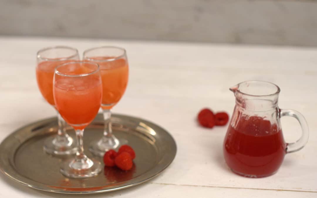 Himbeersirup aus dem Thermomix®