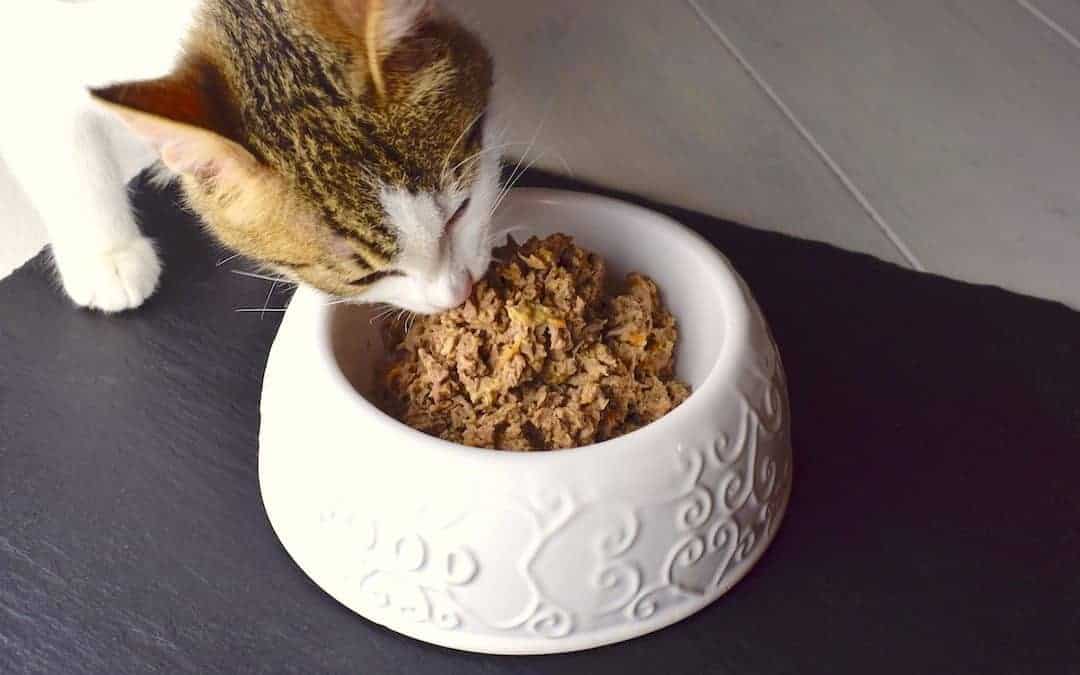 Katzenfutter: Hühnerherzentopf für Samtpfoten