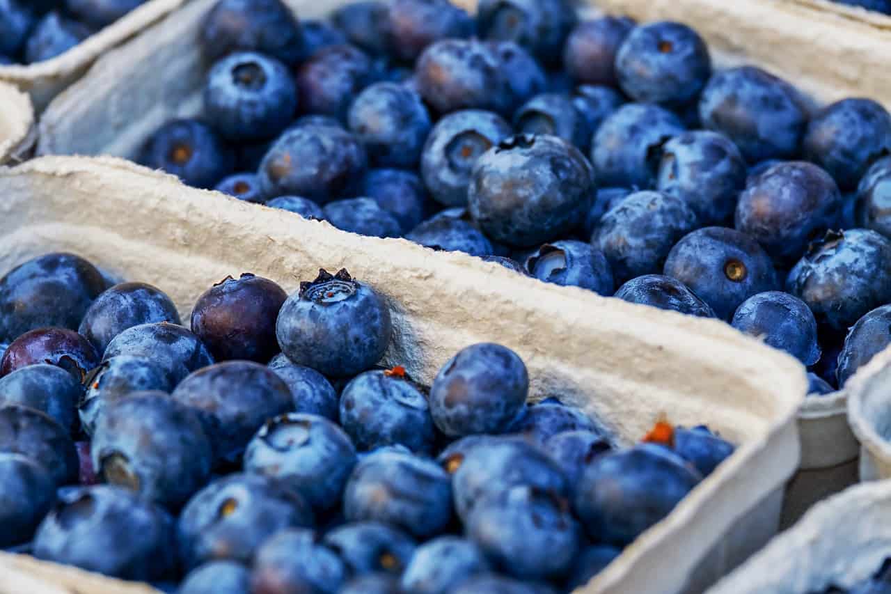 Blaubeeren – Foto: Pixabay