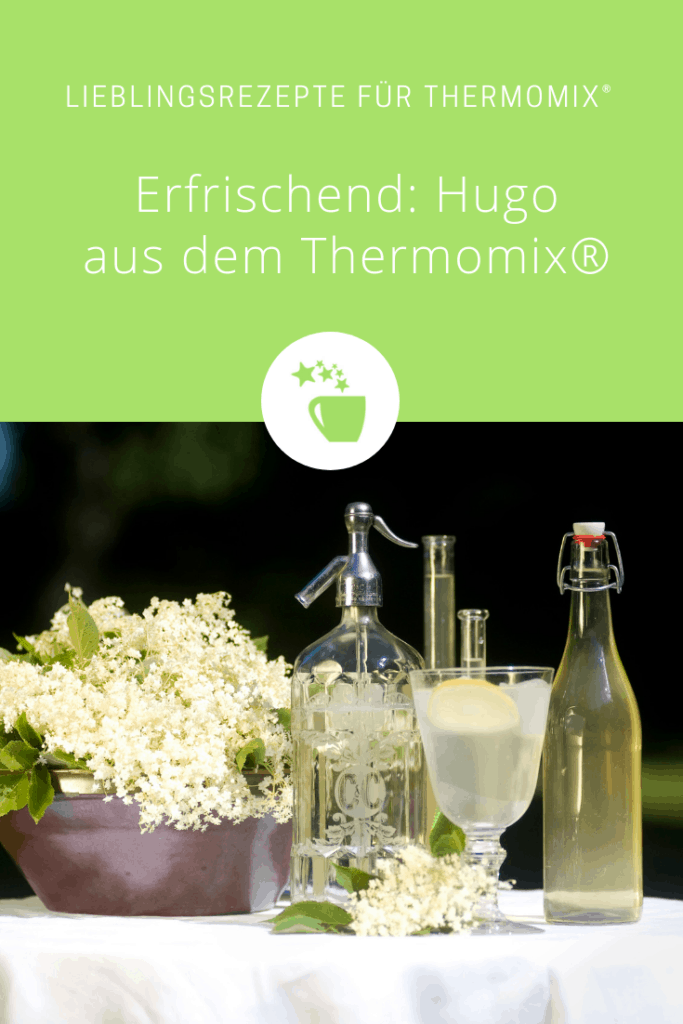 Hugo aus dem Thermomix® – Foto: Julia Zenk