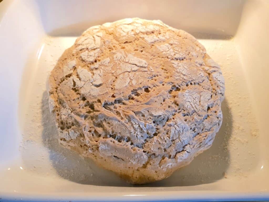 Bauernbrot aus dem Thermomix®, das Brot vor dem Backen – Foto: Nicole Stroschein