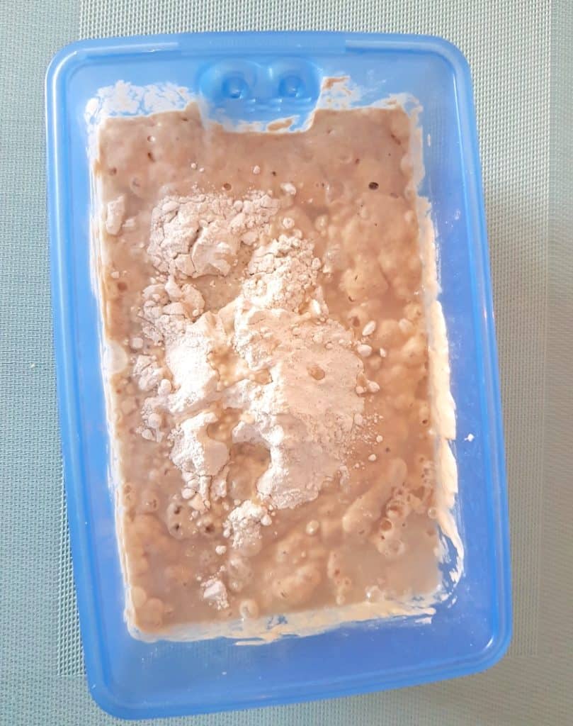 Sauerteig, Tag 5 – Foto: Nicole Stroschein