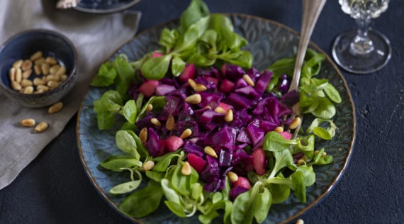 Rotkohlsalat auf einem Feldsalatbett mit dem Thermomix® – Foto: Frauke Antholz