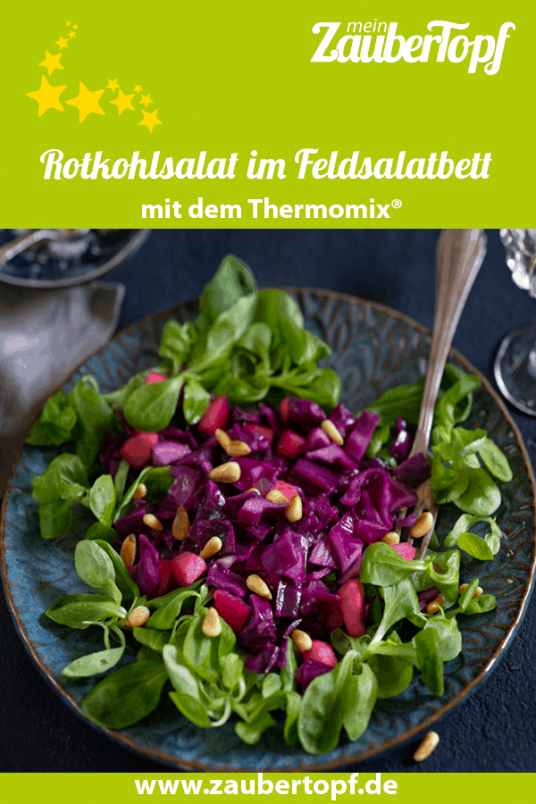 Rotkohlsalat auf einem Feldsalatbett mit dem Thermomix® – Foto: Frauke Antholz