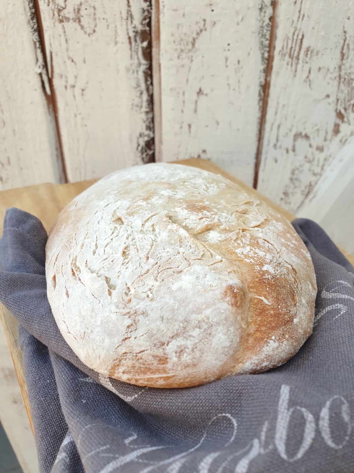 Hefe selbst machen mit dem Thermomix®, Ciabatta – Foto: Nicole Stroschein