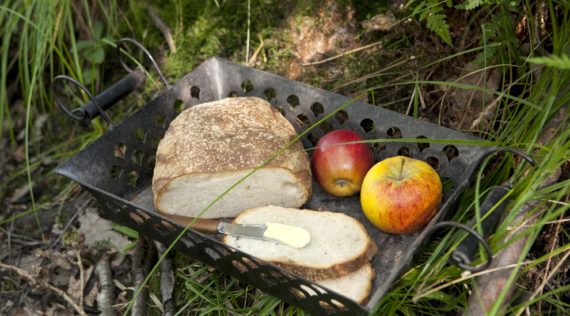 Leichtes Roggenmischbrot für den Monsieur Cuisine – Foto: Frauke Anholz