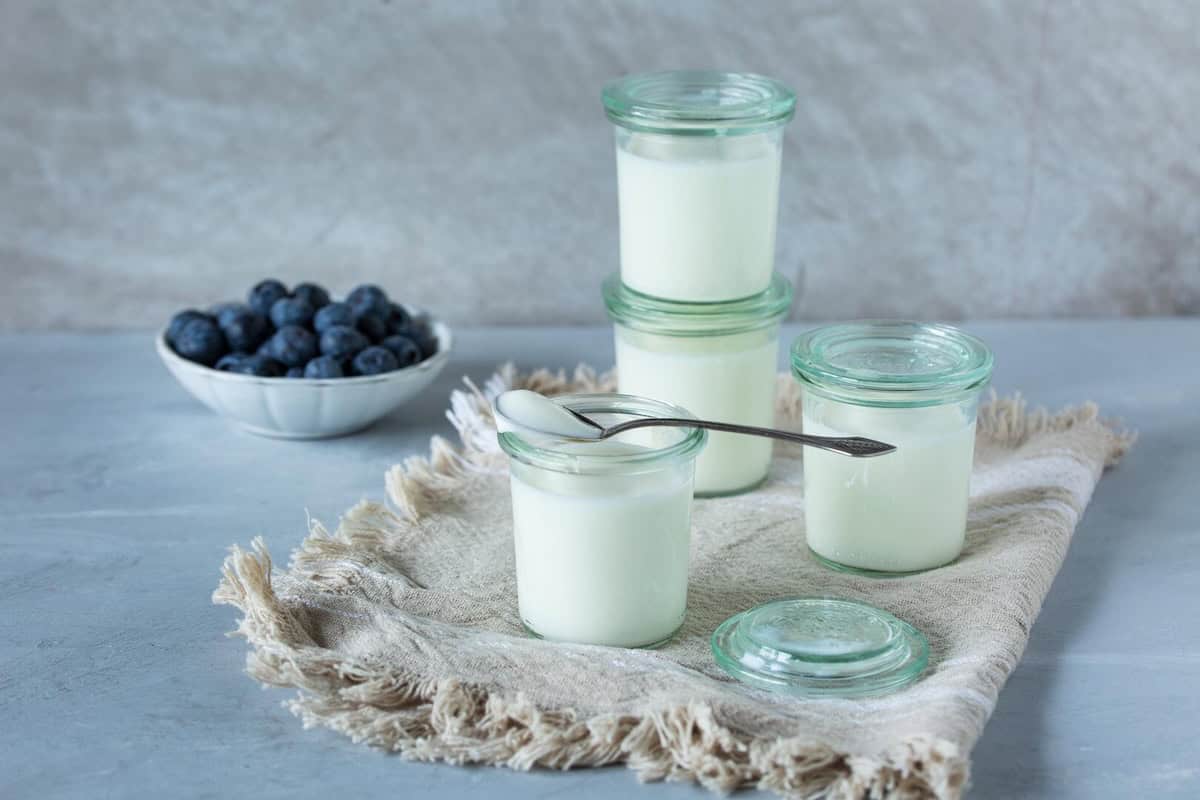 Mehrere Gläser mit Naturjoghurt, daneben eine Schale Blaubeeren – Foto: Kathrin Knoll