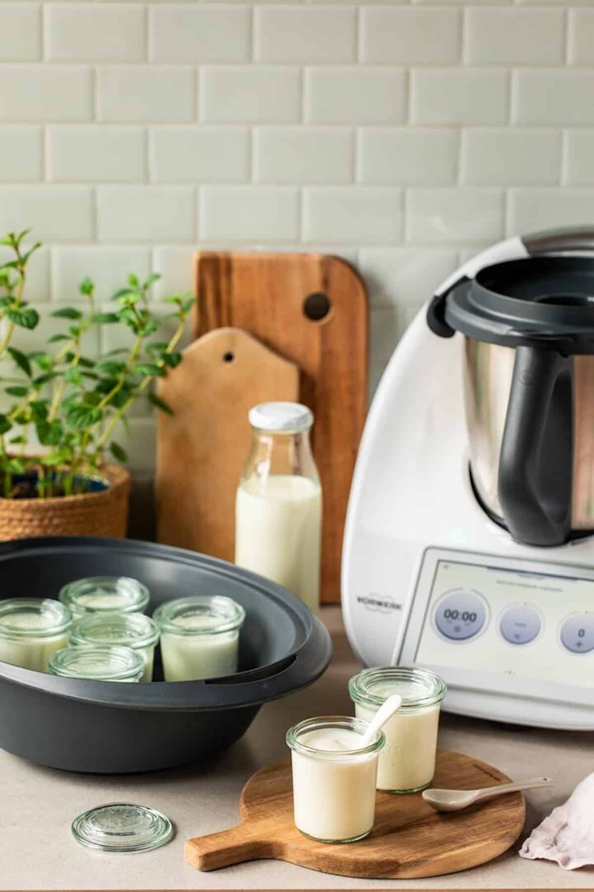 Mehrere Gläser mit Joghurt im Varoma® des Thermomix® – Foto: Anna Gieseler