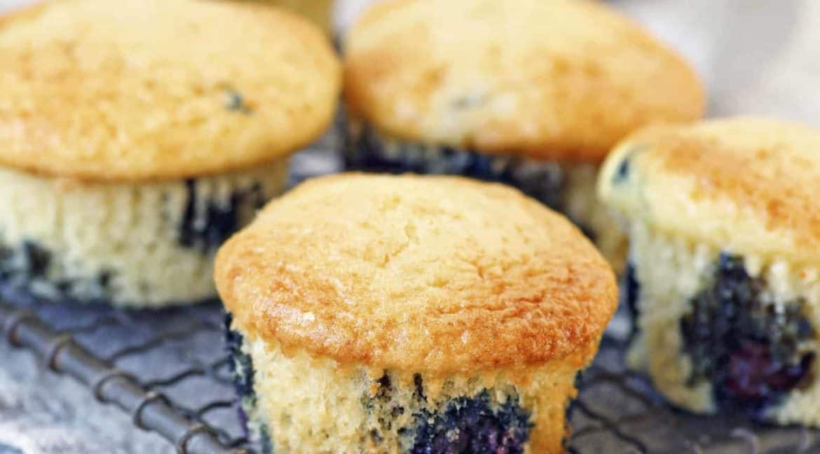 Softe Blaubeermuffins