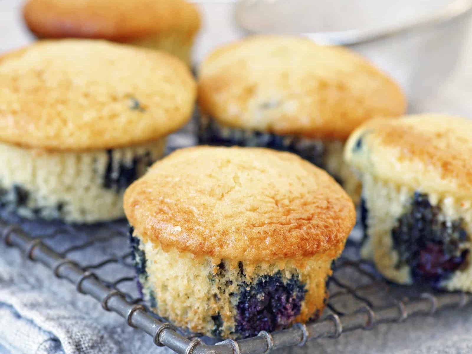 Softe Blaubeermuffins – Rezept für den Thermomix®