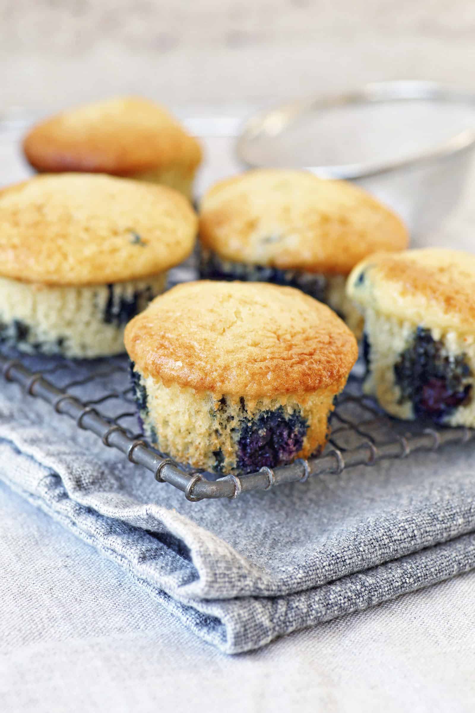 Softe Blaubeermuffins mit dem Thermomix® – Foto: Alexandra Panella