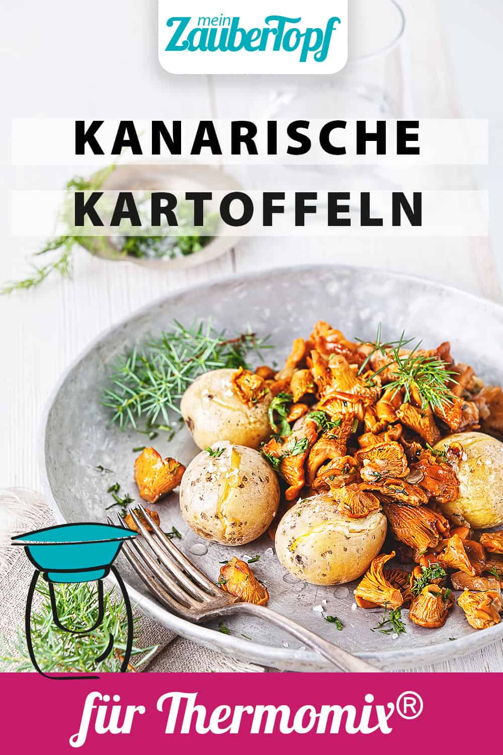 Kanarische Kartoffeln – Papas Arrugadas mit Pfifferlingen mit dem Thermomix® - Foto: shutterstock