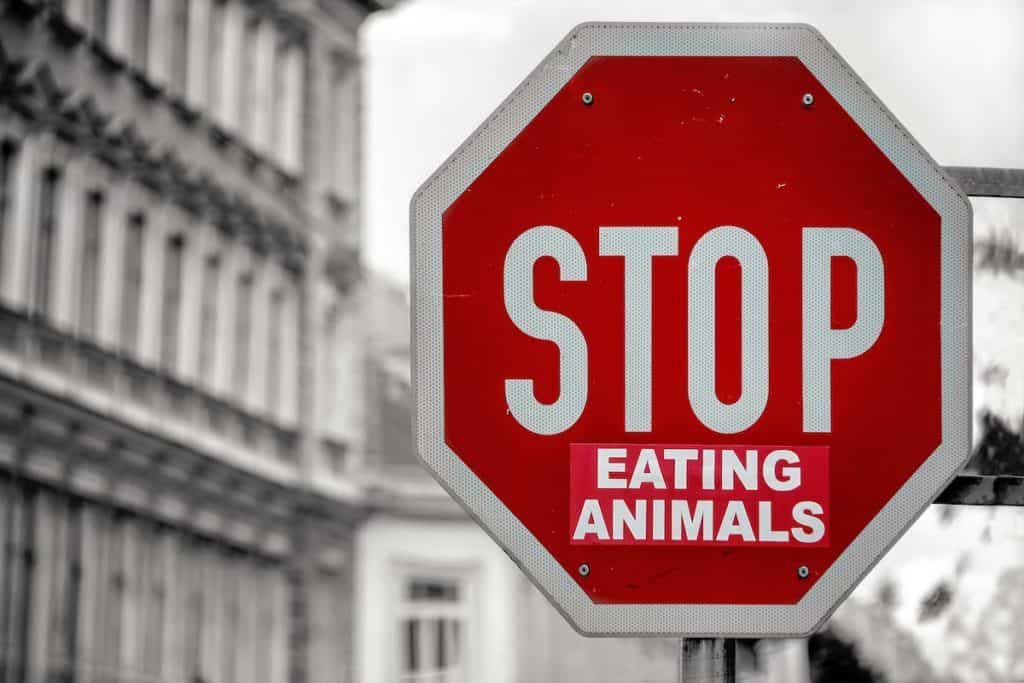 Vegan leben bedeutet auf tierische Produkte zu verzichten – Foto: Simon Berger / Unsplash