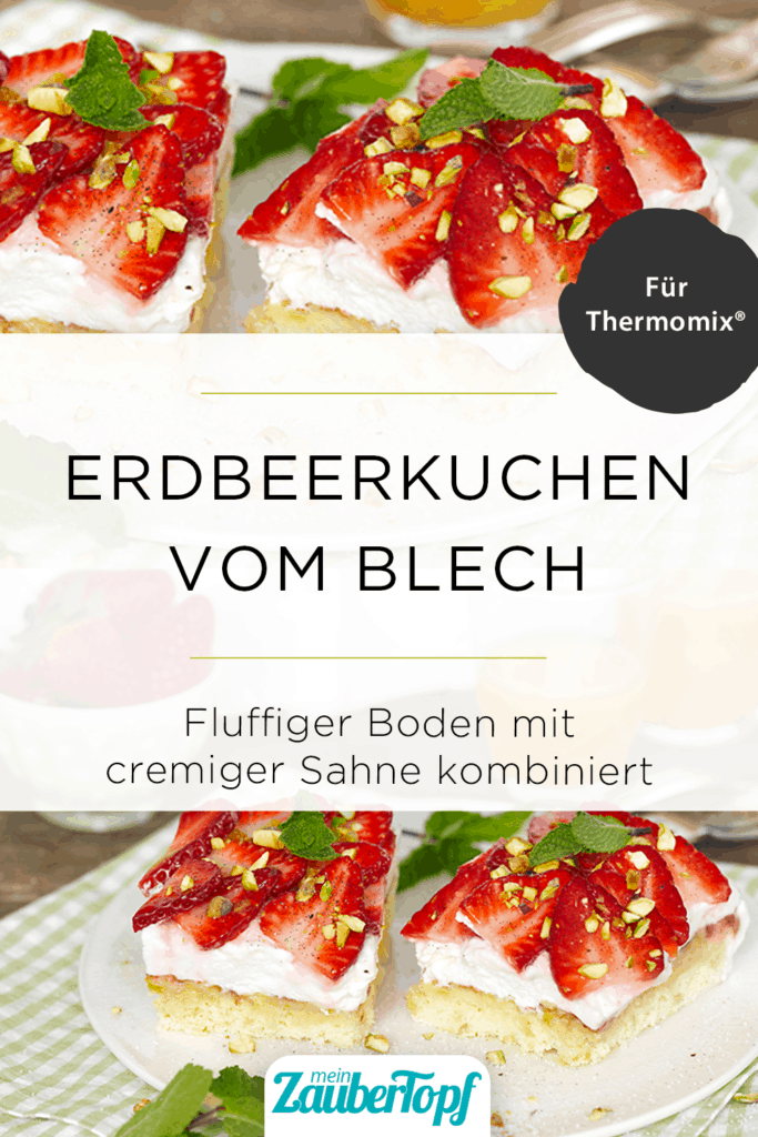 Erdbeerkuchen vom Blech mit dem Thermomix® - Foto: Frauke Antholz