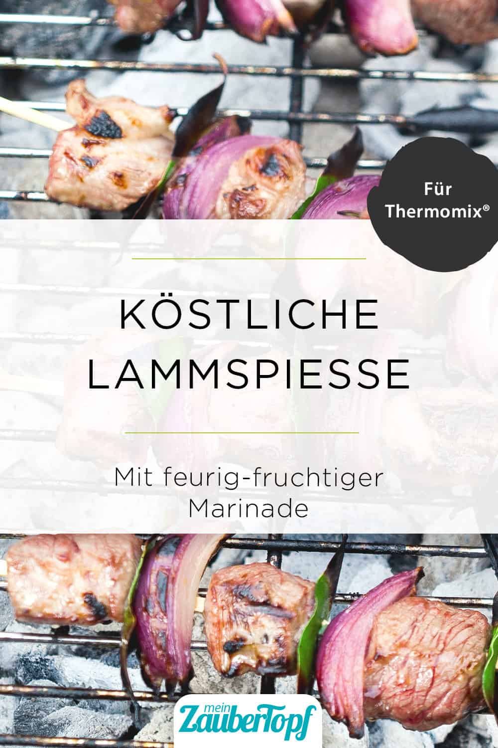 Lammspieße mit dem Thermomix® – Foto: Ira Leoni