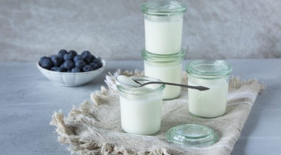 Naturjoghurt selbst herstellen mit dem Monsieur Cuisine – Foto: Kathrin Knoll