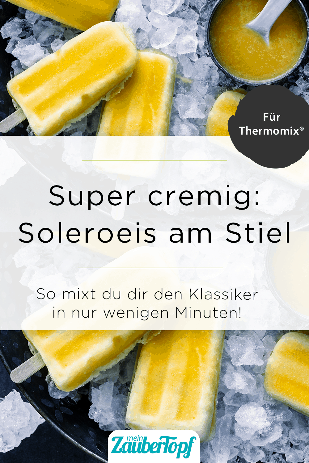 Soleroeis am Stiel mit dem Thermomix® - Foto: Tina Bumann