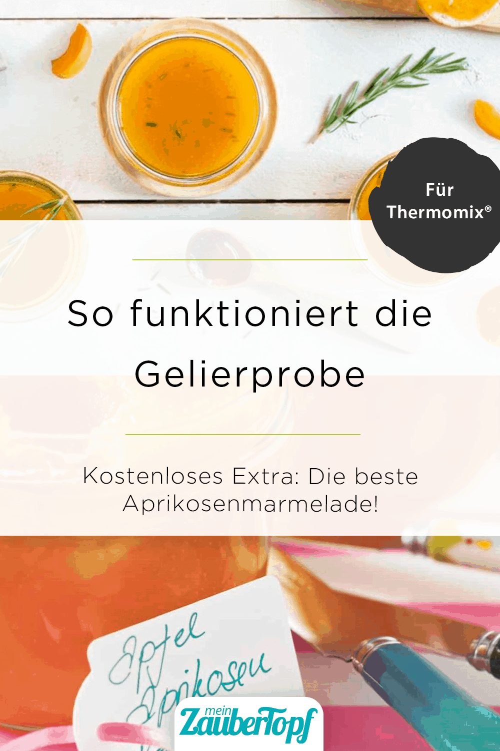 Aprikosenmarmelade aus dem Thermomix® – Foto: Jorma Gottwald / Kathrin Knoll