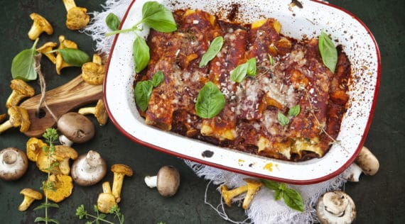 Cannelloni mit Pilzen aus dem Thermomix® – Foto: Frauke Antholz