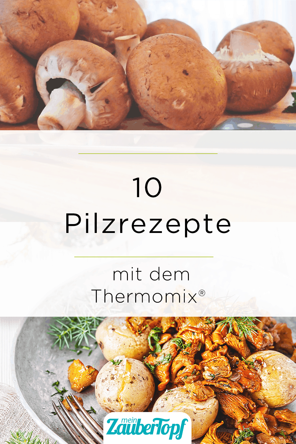 Die besten Pilzrezepte für den Thermomix® - Foto: LUM3N / Pixabay / shutterstock