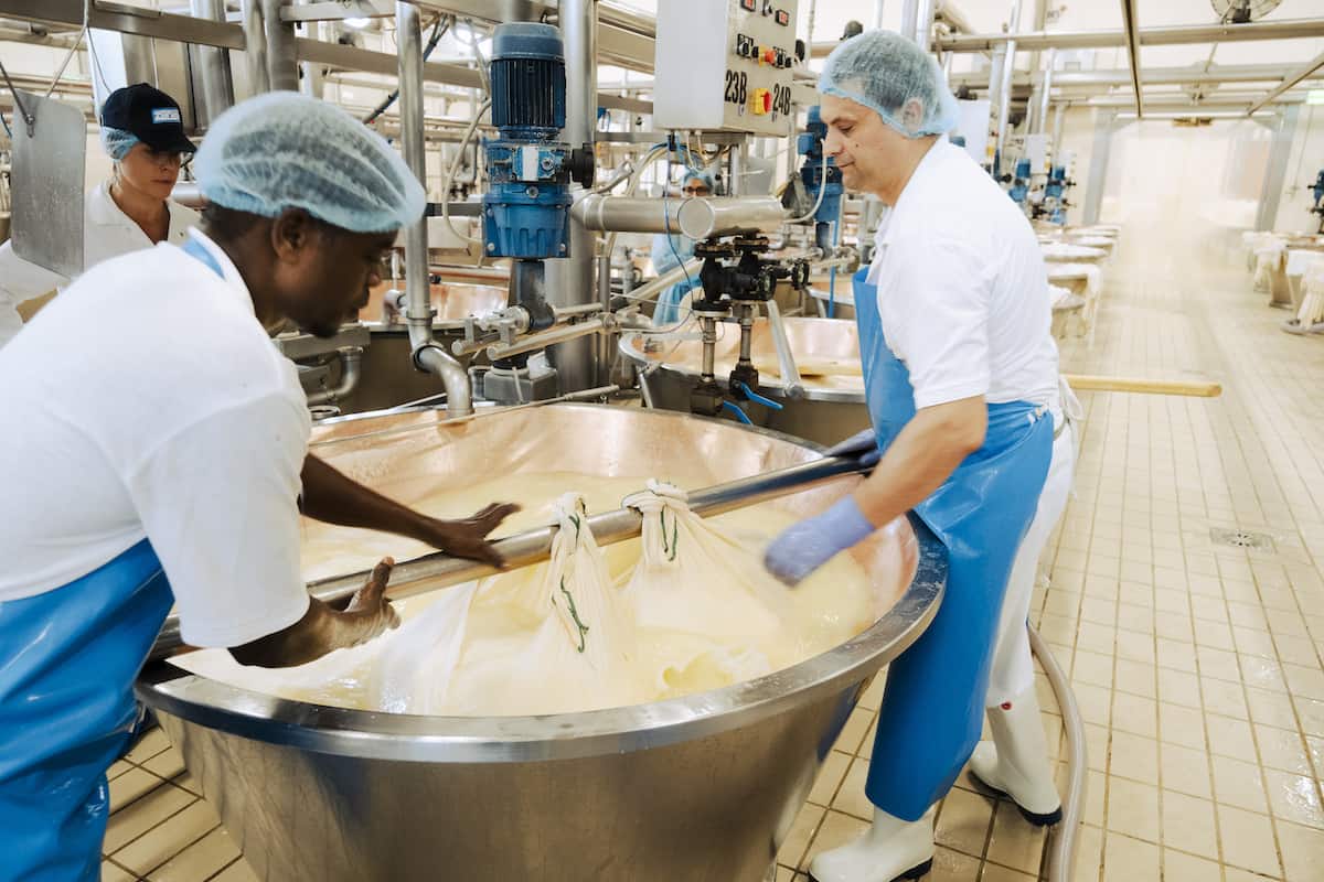 Käse-Produktion bei Zanetti