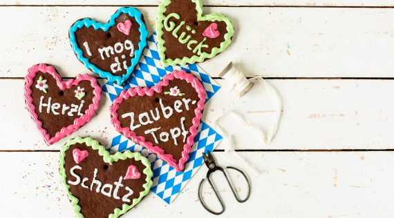 Lebkuchen mit dem Thermomix® – Foto: Désirée Peikert