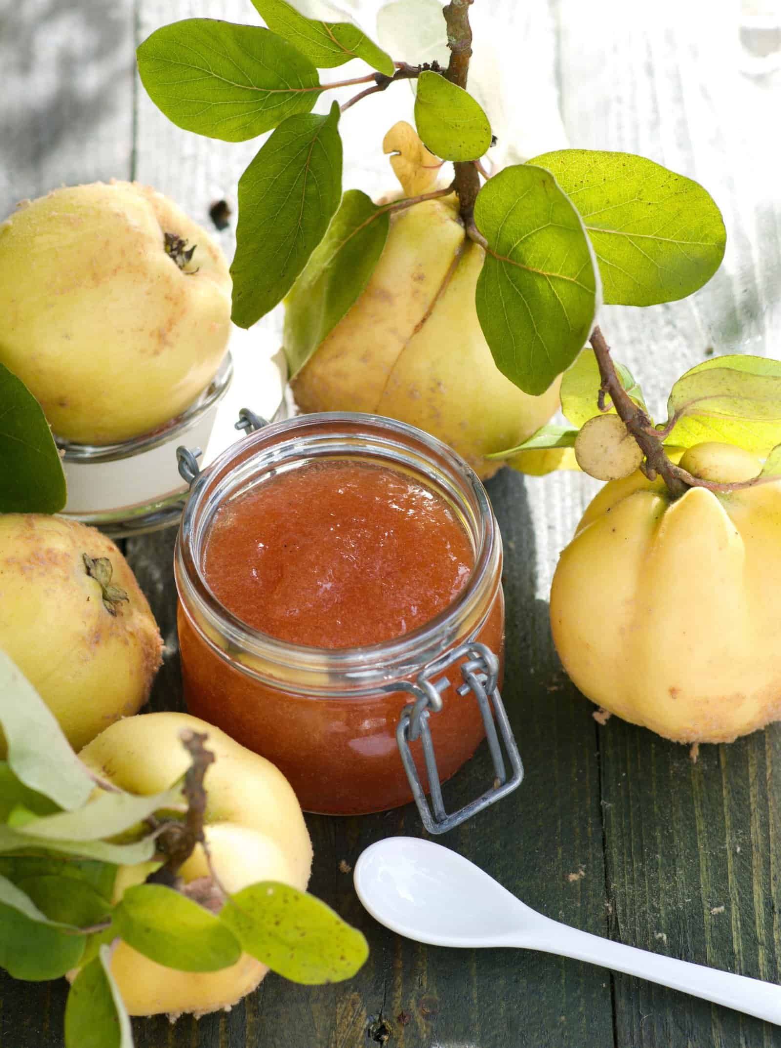 quittenmarmelade in einem Glas umgeben von Quitten